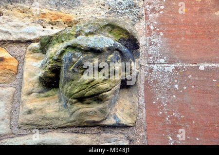 Überreste einer vandalized Steinmauer Kopf durch den frühen Reformer im 16. Jahrhundert. Ein Teil der Ruinen von St Andrews Kathedrale. Stockfoto