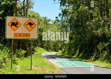 Langsam fahren, Verkehrszeichen entlang der Straße in Australien, mit Bildern von Koala und Känguruh. Stockfoto