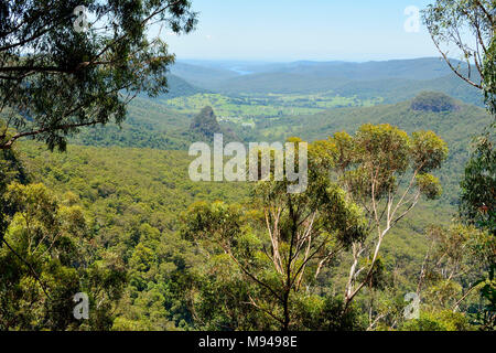 Blick vom Aussichtspunkt in Bellbird Lamington National Park, Queensland, Australien. Stockfoto