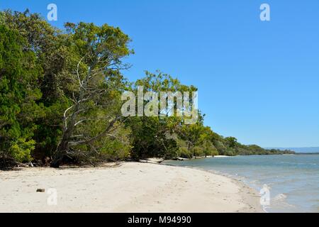 Strand an der Westküste von South Stradbroke Island in Queensland, Australien. Stockfoto