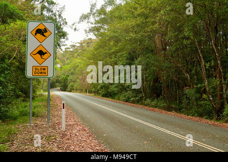 Slow Down Verkehrsschild entlang der Straße in Australien, mit Bildern von Koala und Känguruh. Stockfoto