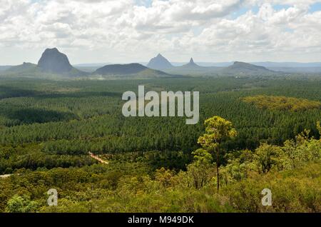 Blick auf die Berge, Tibberoowuccum Tibrogargan, Cooee, Beerwah, Ngungun Coonowrin und über Kiefernwald in Glass House Mountains region in Queensland, Stockfoto