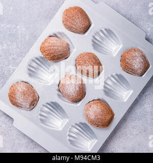 Hausgemachte Schokolade madeleine Cookies Stockfoto