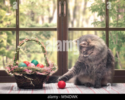 Die Katze spielt mit Das rote Ei. Ein Korb mit schönen Ostereier Stockfoto