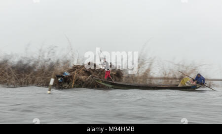 Fischer Kampf im schweren Regen und heulenden Wind auf See Nokoué. Fischerei und Fischzucht sind die zwei größten Industrie, ausgenommen Tourismus für ganvie Bewohner. Stockfoto