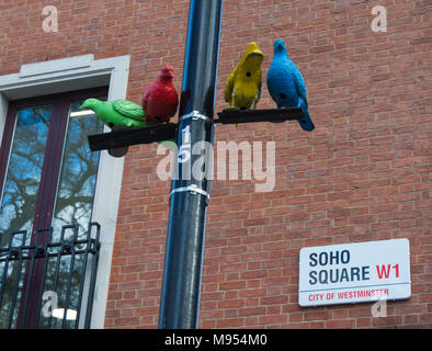 Patrick Murphy's Schwarm Tauben in Soho Square, London, UK Stockfoto