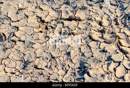 Rissige Erde auf trockene Jahreszeit, Konzept der Erde globale Erwärmung Stockfoto