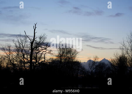 Ein Blick auf die Bäume in Silhouette bei Sonnenuntergang über dem See Lake, Billericay, Essex, UK Credit: Ben Rektor/Alamy Stock Foto Stockfoto