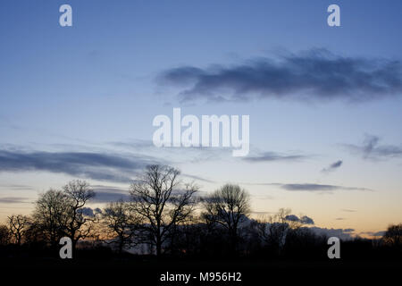 Ein Blick auf die Bäume in Silhouette bei Sonnenuntergang über dem See Lake, Billericay, Essex, UK Credit: Ben Rektor/Alamy Stock Foto Stockfoto