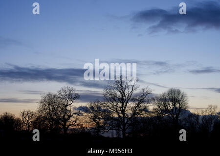 Ein Blick auf die Bäume in Silhouette bei Sonnenuntergang über dem See Lake, Billericay, Essex, UK Credit: Ben Rektor/Alamy Stock Foto Stockfoto