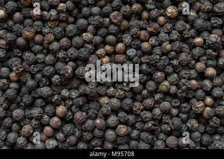 Close up schwarzer Pfeffer Körner runde Hintergrund Stockfoto