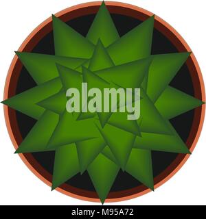 Kaktus im Topf, Vector Illustration. Ansicht von oben Stock Vektor