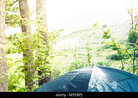 Nassen Zelt grün Zelte in einem Kiefernwald in der Regen Stockfoto