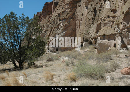 Alte Puebloan Menschen geschnitzten Häuser aus den weichen vulkanischen Tuff in die Klippen am Bandelier National Monument. Stockfoto