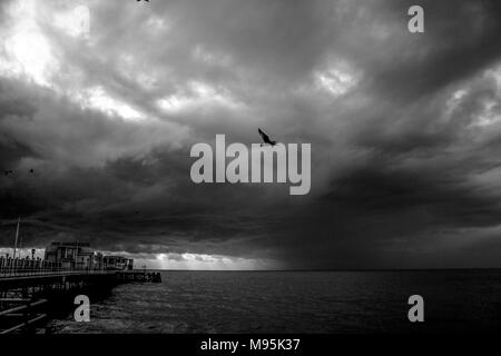 Ein Vogel über einem Pier in England zu fliegen. Stockfoto