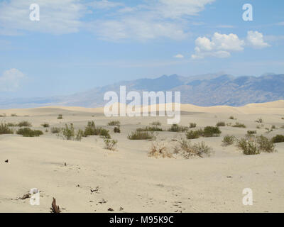 Sanddünen im Death Valley National Park. Stovepipe Wells, Nevada, USA. Stockfoto