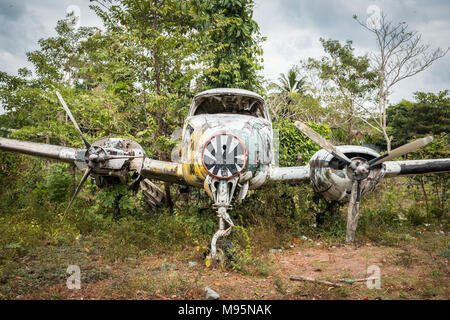 Flugzeug Wrack im Dschungel - alte Propeller Flugzeug in Wald - Stockfoto