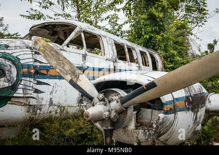 Flugzeugwrack im Dschungel - alte Propellermaschinen im Wald - Stockfoto