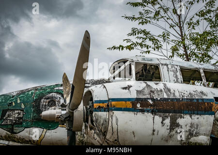 Flugzeug Wrack im Dschungel - alte Propeller Flugzeug in Wald - Stockfoto