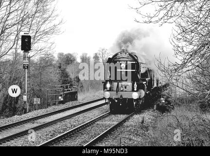 Der Cathedrals Express, der durch Pewsey raste, wird von der Klasse A1 Pacific No 60163 Tornado gezogen. 14.. Februar 2010. Stockfoto