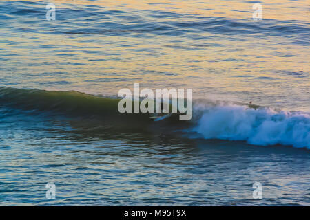 Surfer immer Doppelläufige Stockfoto