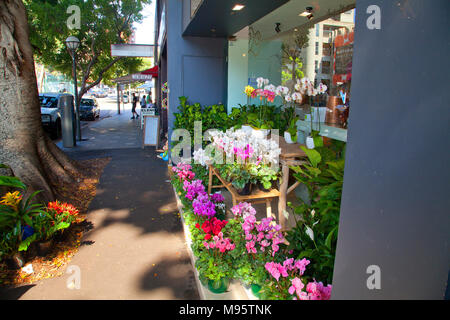 Double Bay, Australien Stockfoto