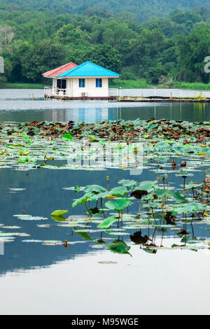 Ferienhaus am See Stockfoto