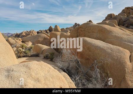 Joshua Tree Felsen Stockfoto
