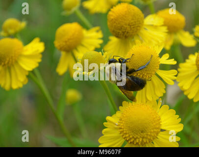 Auf Halten Stockfoto