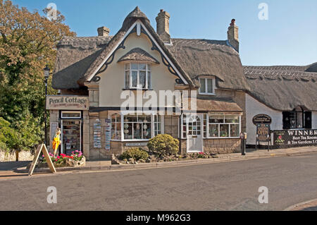 Alte Shanklin, strohgedeckten Bleistift Cottage, Tee- und Geschenkeladen, Isle of Wight, Hampshire, England, Stockfoto