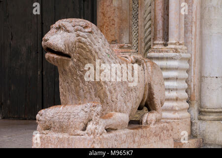 Blick auf die Skulptur von Lion mit Beten vor dem Dom in Modena, Italien Stockfoto