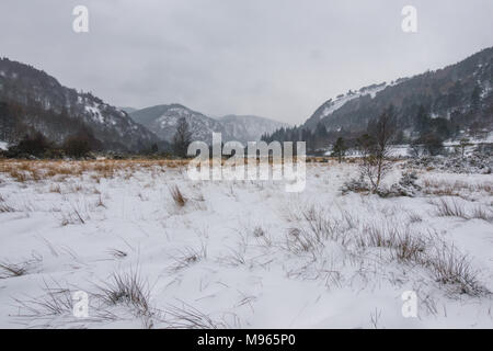 Winter in Irland Stockfoto