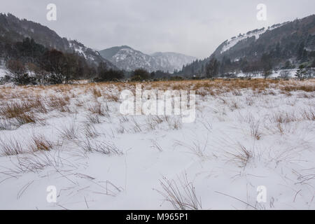 Winter in Irland Stockfoto