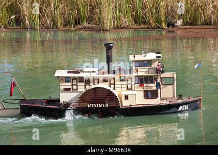 Miniatur Raddampfer, PS Minimus, dampfende am Darling River in der Nähe von Wentworth. Stockfoto