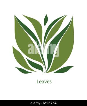 Grüne Blätter von Bäumen und Pflanzen. Elemente für Eco, organischen und bio-Logos. Blätter Symbol Vektor auf weißem Hintergrund. Stock Vektor