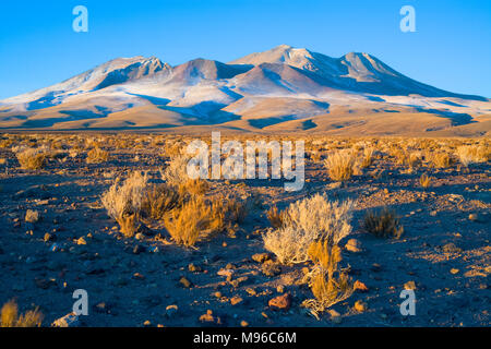 Hügel in den Anden Altiplano (Hochebene), Atacama-wüste, Chile, Südamerika Stockfoto