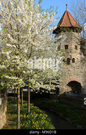 Bensheim, Rinnentor, Bergstraße, Odenwald, Hessen, Deutschland Stockfoto