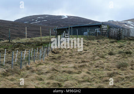 Rentier Paddock und Zuflucht auf den Hängen des Cairngorm Mountain in den schottischen Highlands Stockfoto