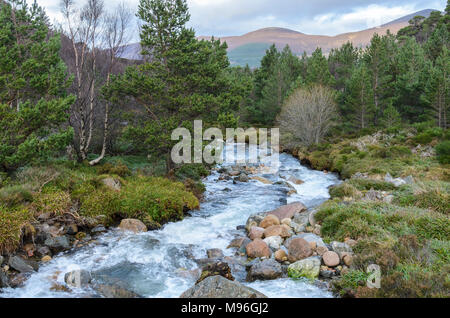 Fluss fließen die Seite des Cairngorm Mountain in den schottischen Highlands Stockfoto