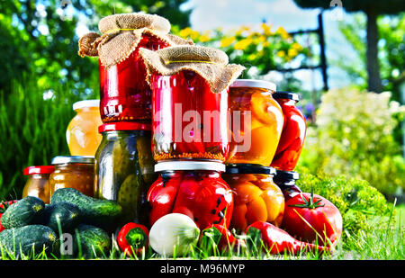 Gläser mit eingelegtem Gemüse und Obst im Garten. Marinierte Lebensmittel. Stockfoto