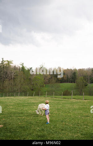 Junge und Ziege in Feld Stockfoto