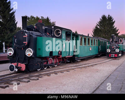 Schmalspurbahn Museum. Wenecja Dorf in der Nähe von Znin, Woiwodschaft Kujawien-Pommern, Polen, Europa. Stockfoto