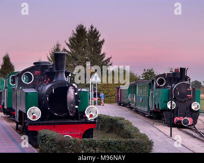 Schmalspurbahn Museum. Wenecja Dorf in der Nähe von Znin, Woiwodschaft Kujawien-Pommern, Polen, Europa. Stockfoto