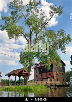 Alte Wassermühle in der Nähe von wojtal Dorf. Fluss Wda canoe Trail. Tuchola Pinienwälder. Provinz Pommern, Polen, Europa. Stockfoto