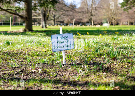 Nicht gehen auf Frühling Birnen mit den Narzissen und Krokusse Lila und Weiß im Hintergrund Wegweiser Warnung blühen Blüte Stockfoto