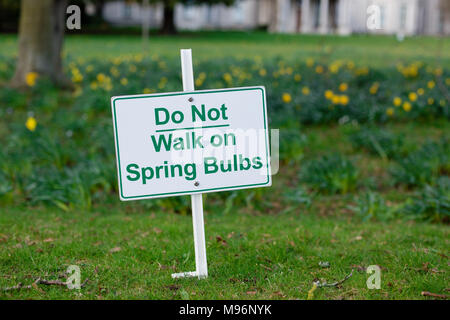 Nicht gehen auf Frühling Birnen mit den Narzissen in den Hintergrund Wegweiser Warnung blühen Blüte Stockfoto