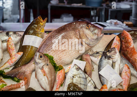 Fischmarkt La Pescheria, Catania, Sizilien, Italien. Stockfoto