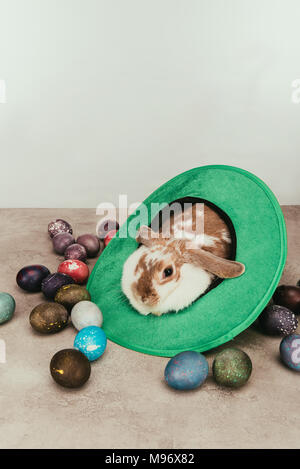 Inländische bunny liegen im grünen Hut mit Ostereiern auf der Oberfläche Stockfoto