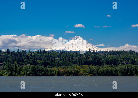 Mt Hood als von Norden gesehen. Bäume und Columbia Fluss unten. Stockfoto