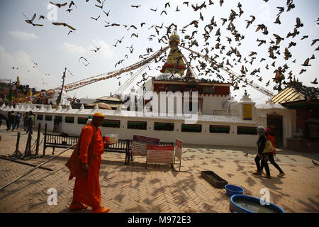 Kathmandu, Nepal. 23 Mär, 2018. Eine nepalesische Mönch trägt einen orangefarbenen robe Holding urn für Almosen wie eine Herde von Tauben nehmen Fluges vor Boudhanath Stupa im Unesco Weltkulturerbe in Kathmandu, Nepal am Freitag, 23. März 2018. Credit: Skanda Gautam/ZUMA Draht/Alamy leben Nachrichten Stockfoto